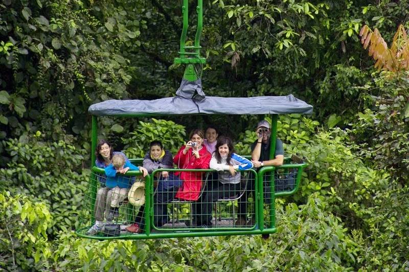 Attractions and Canopy Tour | Rainforest Adventures | See More
– RainforestAdventures 
 img8