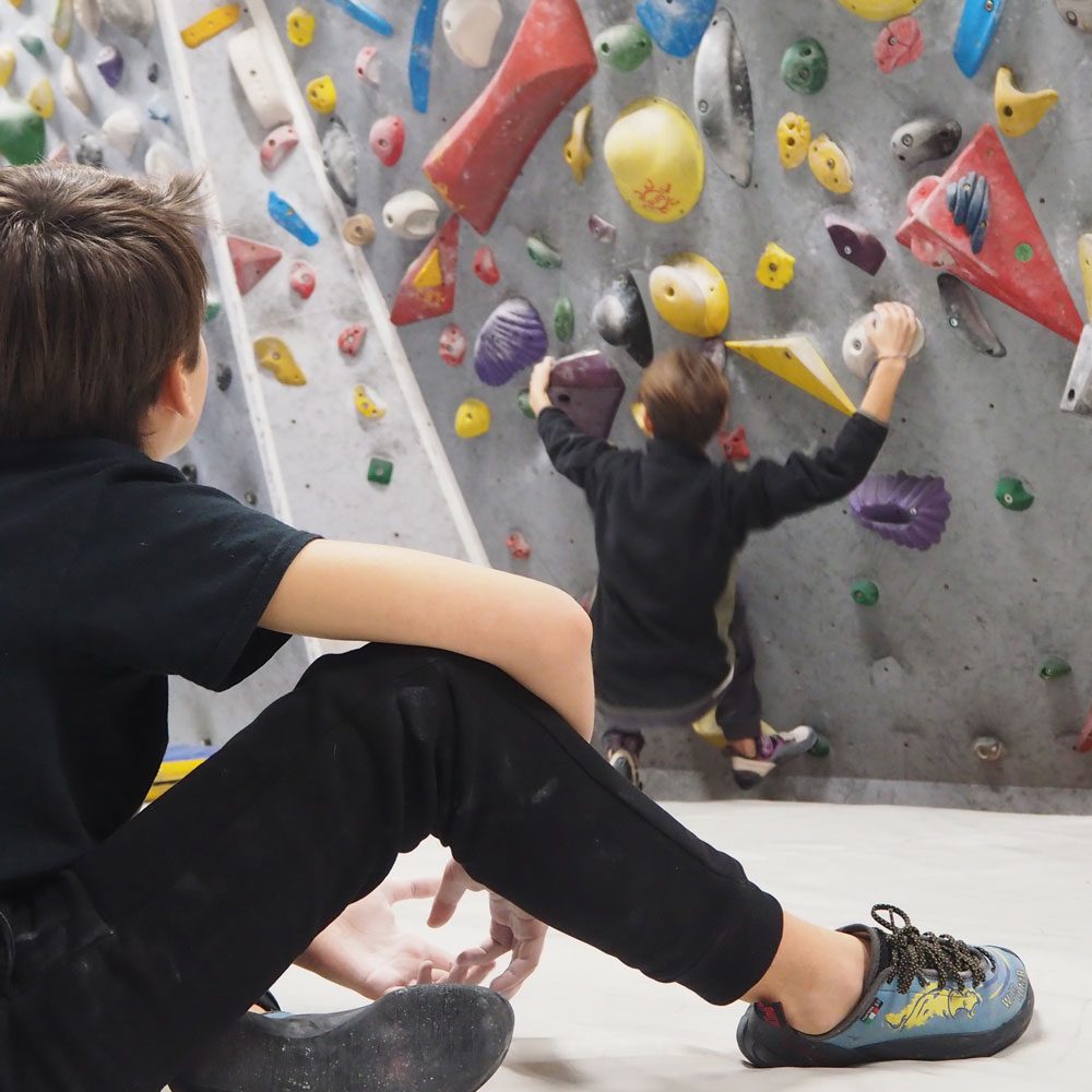 Agonismo Star Wall Climbing Park - Palestra Arrampicata Roma