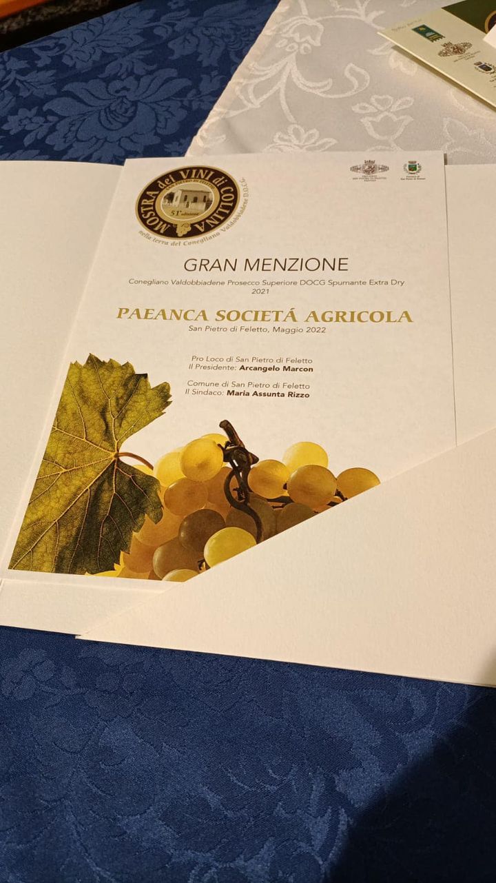 Mostra dei Vino di Collina 2022