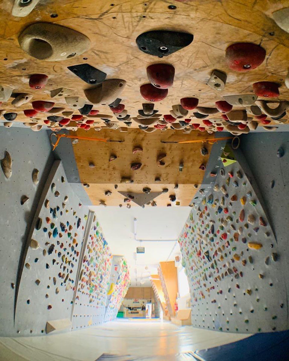 Circuiti Star Wall Climbing Park - Palestra Arrampicata Roma