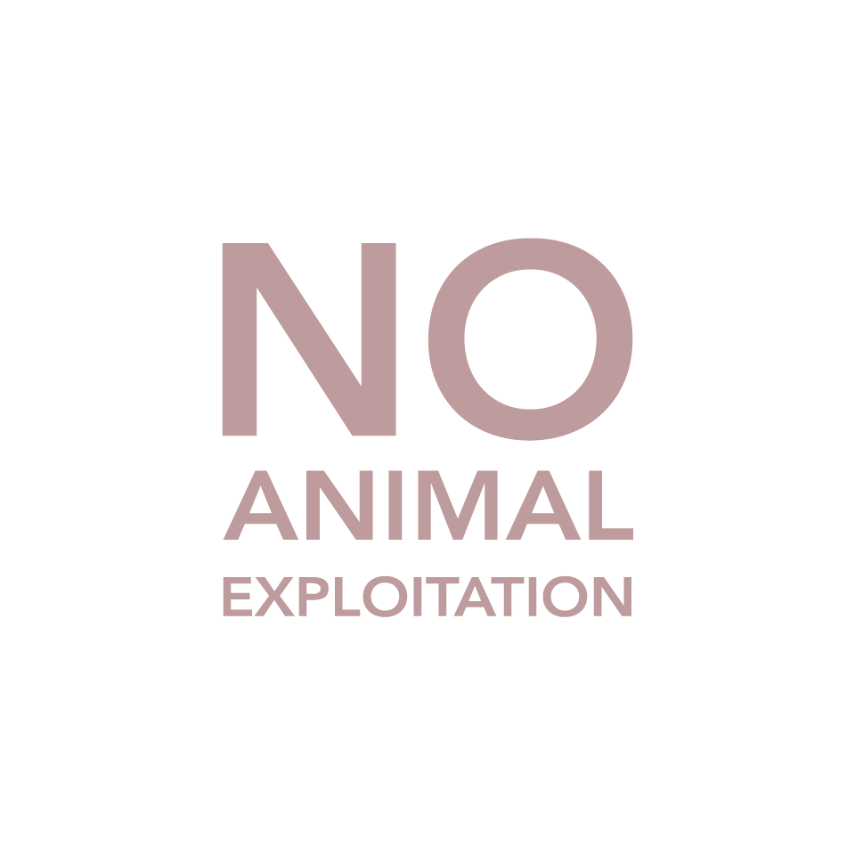 Nae Vegan Shoes | Vegan Shoes & Accessories for Women and Men img5
