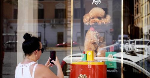 Fashion house Dolce & Gabbana has launched a new..