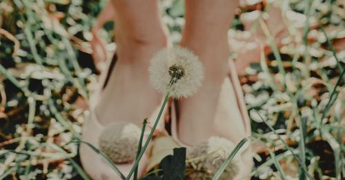 Feeling absentminded? Check out this article By..