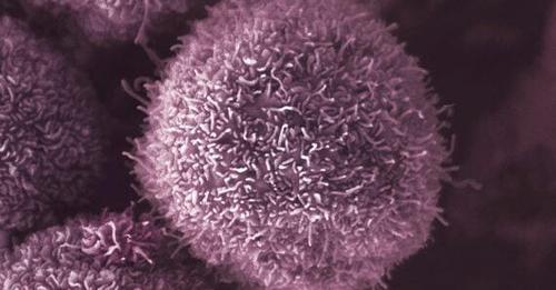 Discover the potential of microfluidics in cell..