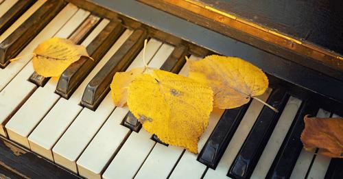 Our new blog post provides you with a healthy list..