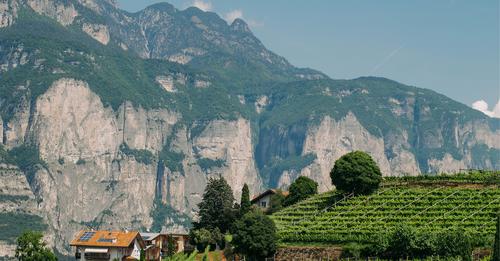 Nuovo articolo sul blog: 