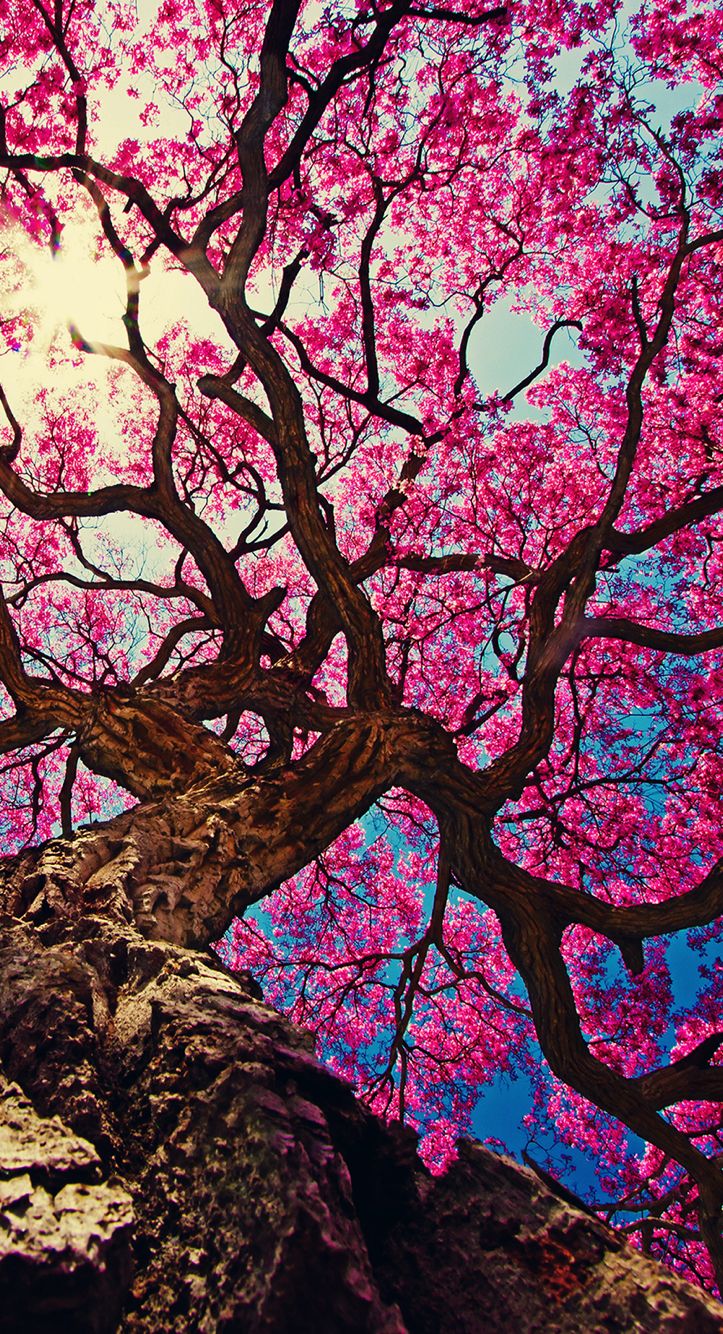 Apr 6, 2019 - This Pin was discovered by 3Elfen...