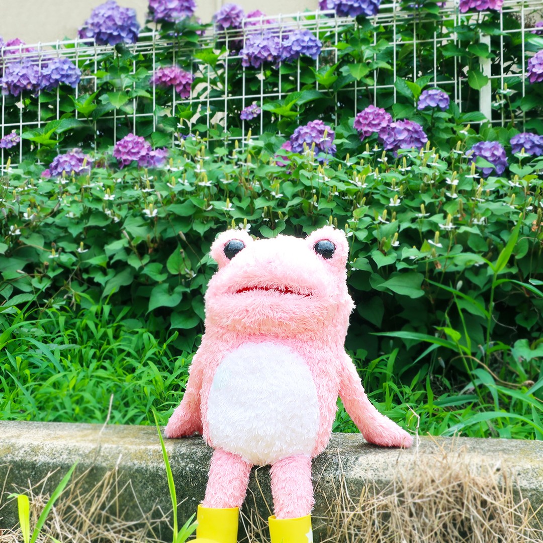 Naito Design Kikkuru Rana Rosa con Stivali M