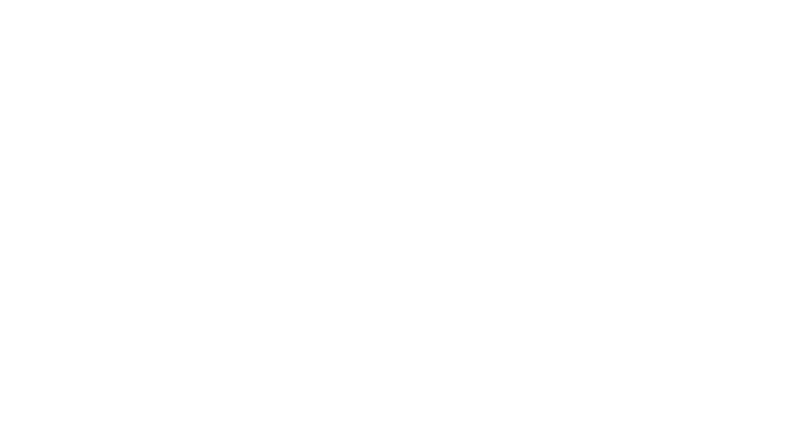 a close up of a plate