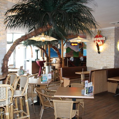 a dining room table in front of a palm tree