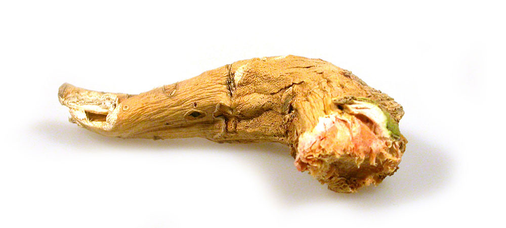 PageLines- feature-2.jpg
