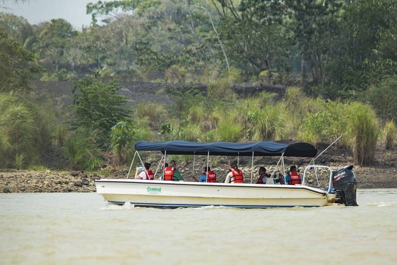 Attractions and Canopy Tour | Rainforest Adventures | See More
– RainforestAdventures 
 img34