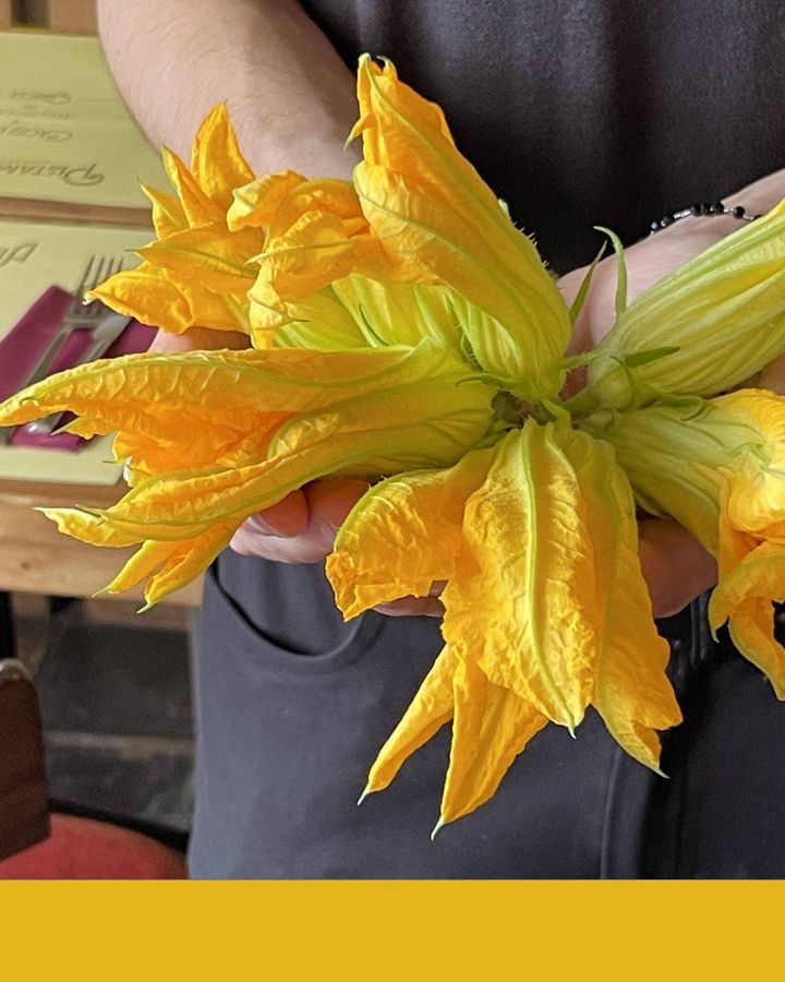 Photos from Pistamentuccia's post